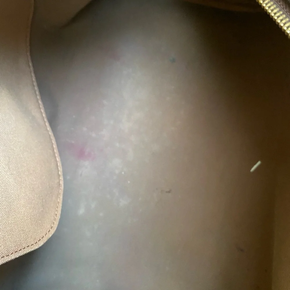 Louis Vuitton Brown Monogram Handbag 11587 - Picture 9 of 11